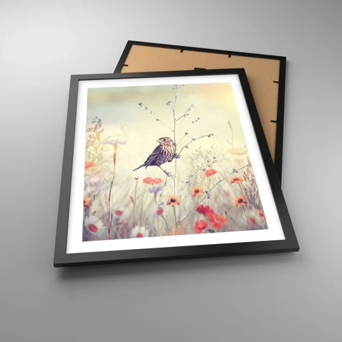 Plakat i sort ramme - Fugleportræt med en eng i baggrunden - 40x50 cm