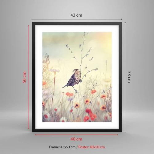 Plakat i sort ramme - Fugleportræt med en eng i baggrunden - 40x50 cm