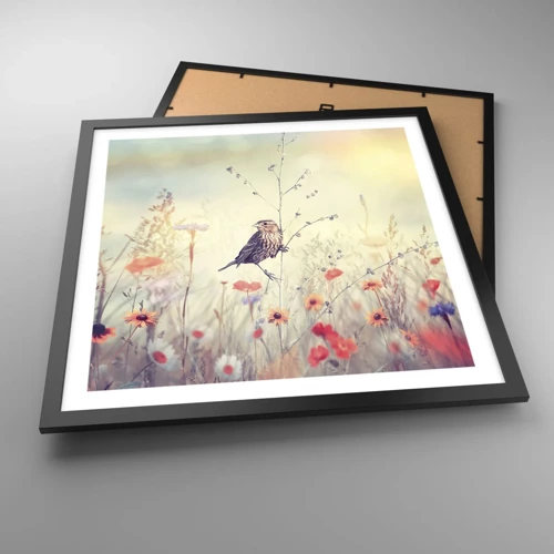 Plakat i sort ramme - Fugleportræt med en eng i baggrunden - 50x50 cm