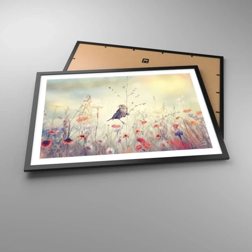 Plakat i sort ramme - Fugleportræt med en eng i baggrunden - 70x50 cm
