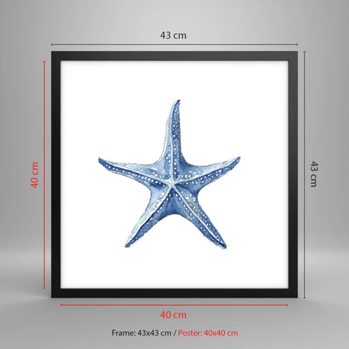 Plakat i sort ramme - Havets stjerne - 40x40 cm