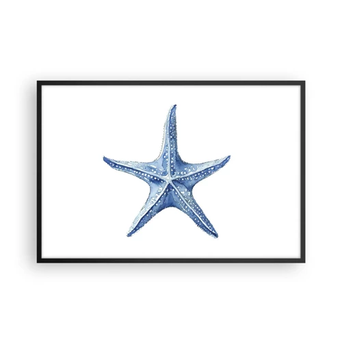 Plakat i sort ramme - Havets stjerne - 91x61 cm
