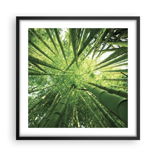 Plakat i sort ramme - I en bambuslund - 50x50 cm