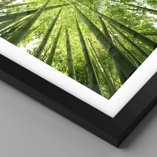 Plakat i sort ramme - I en bambuslund - 70x50 cm
