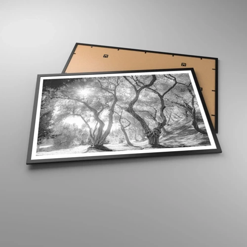 Plakat i sort ramme - I en olivenlund - 91x61 cm