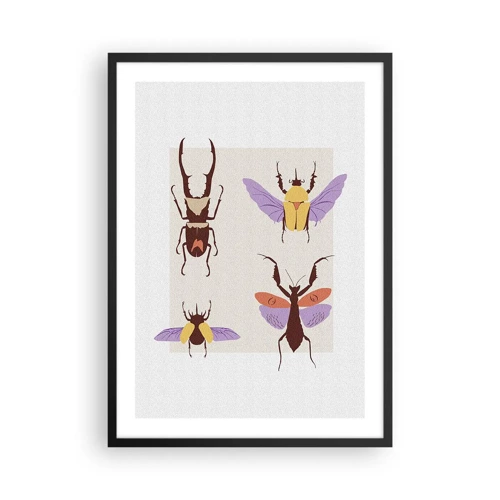 Plakat i sort ramme - Insekternes verden - 50x70 cm