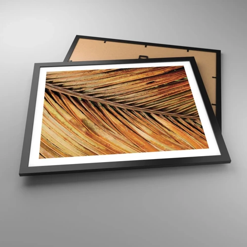 Plakat i sort ramme - Kokosnød guld - 50x40 cm