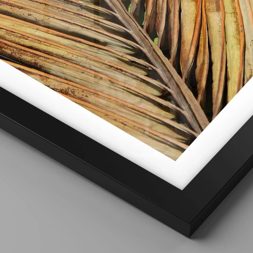 Plakat i sort ramme - Kokosnød guld - 70x50 cm