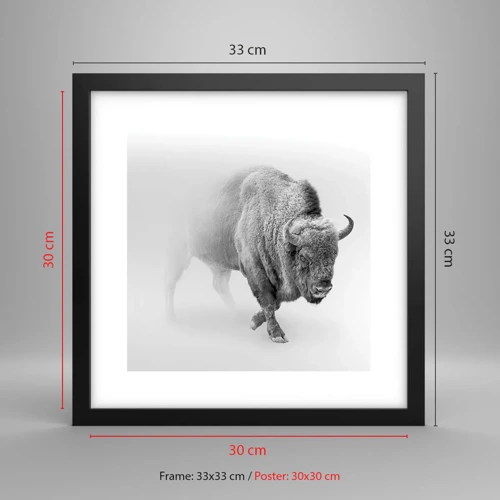 Plakat i sort ramme - Kongen af prærien - 30x30 cm