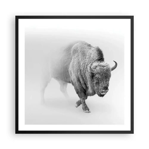 Plakat i sort ramme - Kongen af prærien - 60x60 cm