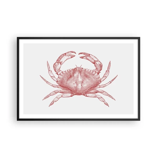 Plakat i sort ramme - Krabbe over krabber - 91x61 cm