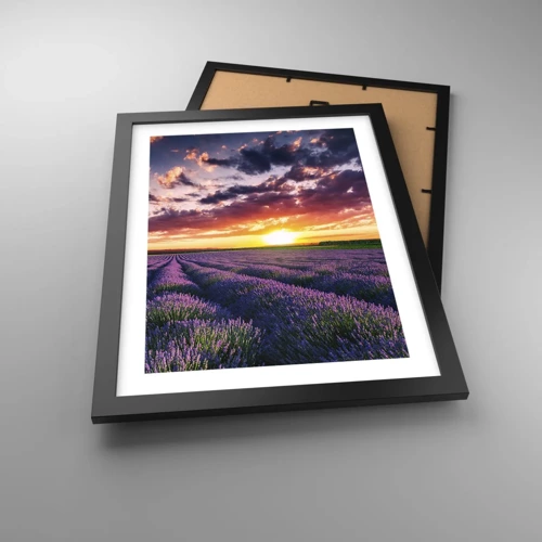Plakat i sort ramme - Lavendelverden - 30x40 cm
