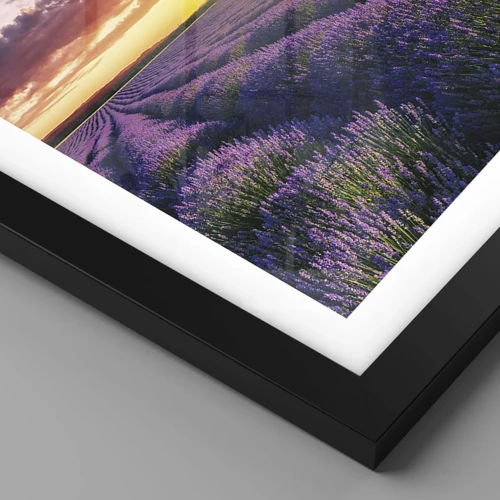 Plakat i sort ramme - Lavendelverden - 40x30 cm