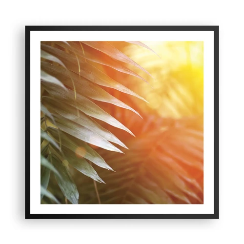 Plakat i sort ramme - Morgen i junglen - 60x60 cm