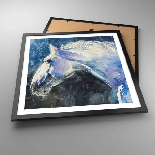 Plakat i sort ramme - Portræt i et blåt skær - 50x50 cm