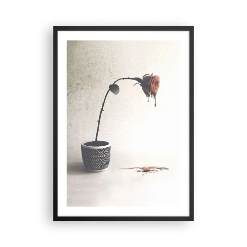 Plakat i sort ramme - Rosa dolorosa - 50x70 cm