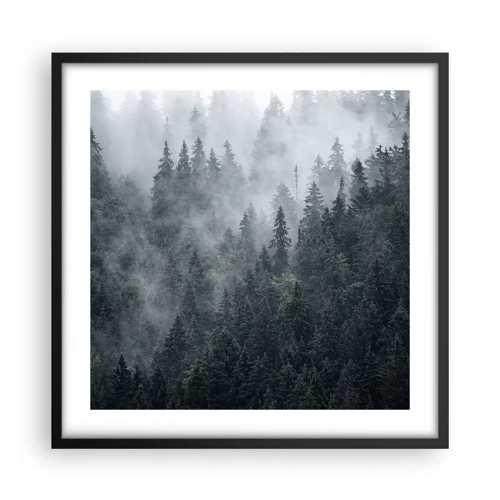 Plakat i sort ramme - Skovens daggry - 50x50 cm
