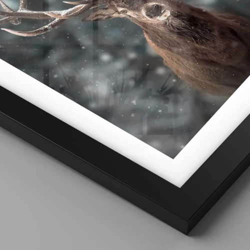 Plakat i sort ramme - Skovens konge kronet - 50x50 cm
