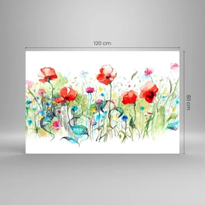 Billede på glas - En blomstrende eng i maj - 120x80 cm