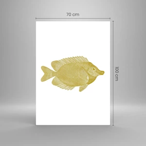 Billede på glas - Fisk og det er det - 70x100 cm