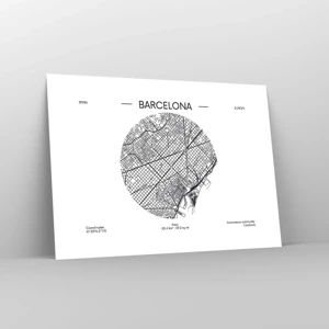 Plakat - Barcelonas anatomi - 70x50 cm