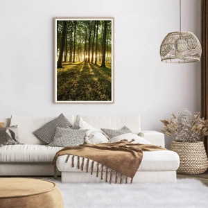 Plakat i ramme af lyst egetræ - Fotografering af alle fjedre - 70x100 cm