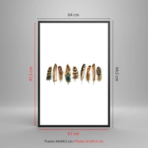 Plakat i sort ramme - Variation med fjer - 61x91 cm