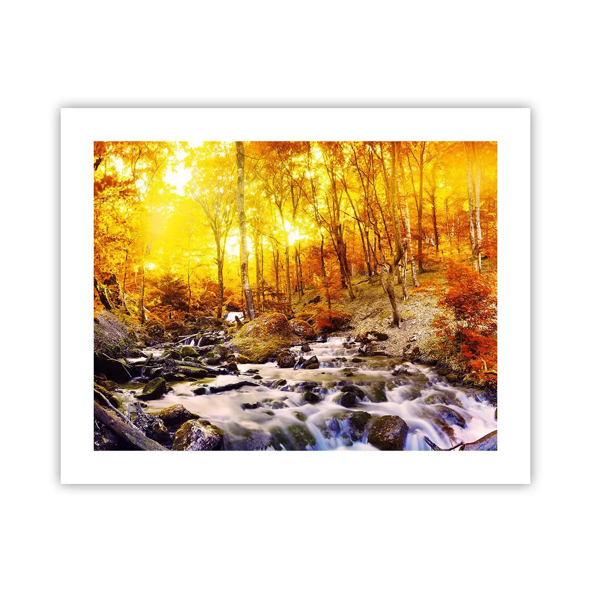 Plakat - Sten indfattet i guld og platin - 50x40 cm