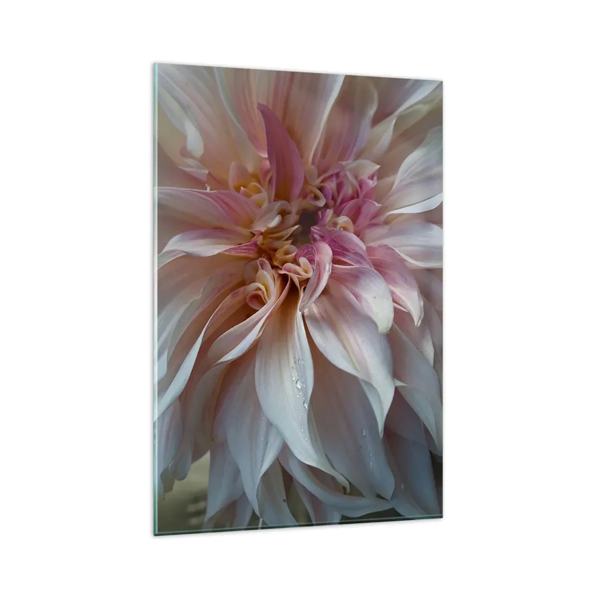 Billede på glas - Blomstrende friskhed - 80x120 cm