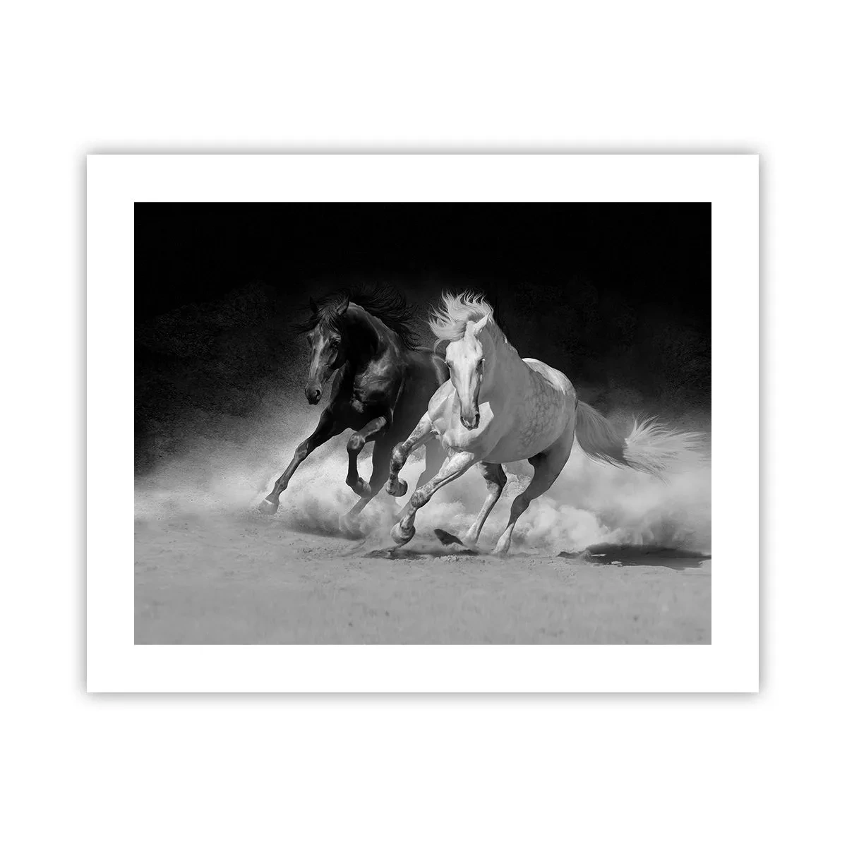 Plakat - Frihedens galop - 50x40 cm