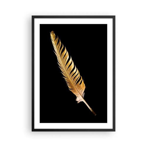 Plakat i sort ramme - Gylden fjer på en sort baggrund - 50x70cm - Det er ikke nogen ringe præstation, at den... - Moderne vægdekoration til stue og soveværelse ARTTOR