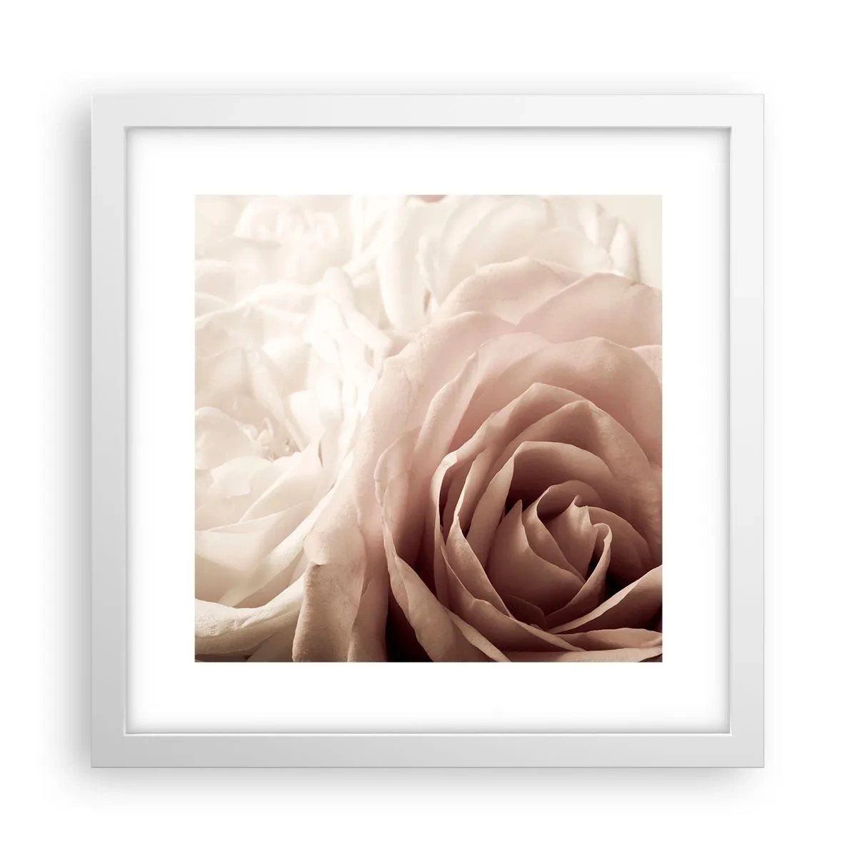 Plakat i hvid ramme - I rosens hjerte - 30x30 cm