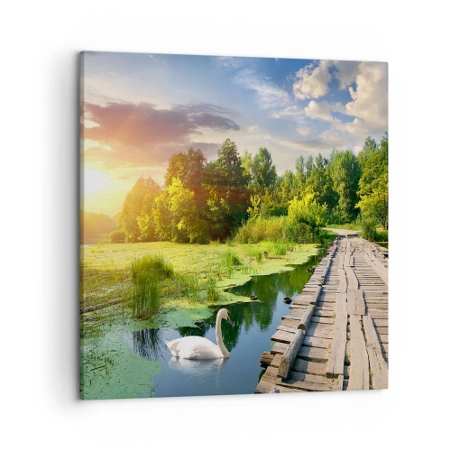 Lærredstryk - Billede på lærred - Sommer, sommer overalt - 50x50 cm