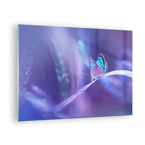 Billede på glas - Sommerfugl mod en baggrund af lilla lys - 70x50cm - Naturens juvel - Moderne vægdekoration til stue og soveværelse ARTTOR