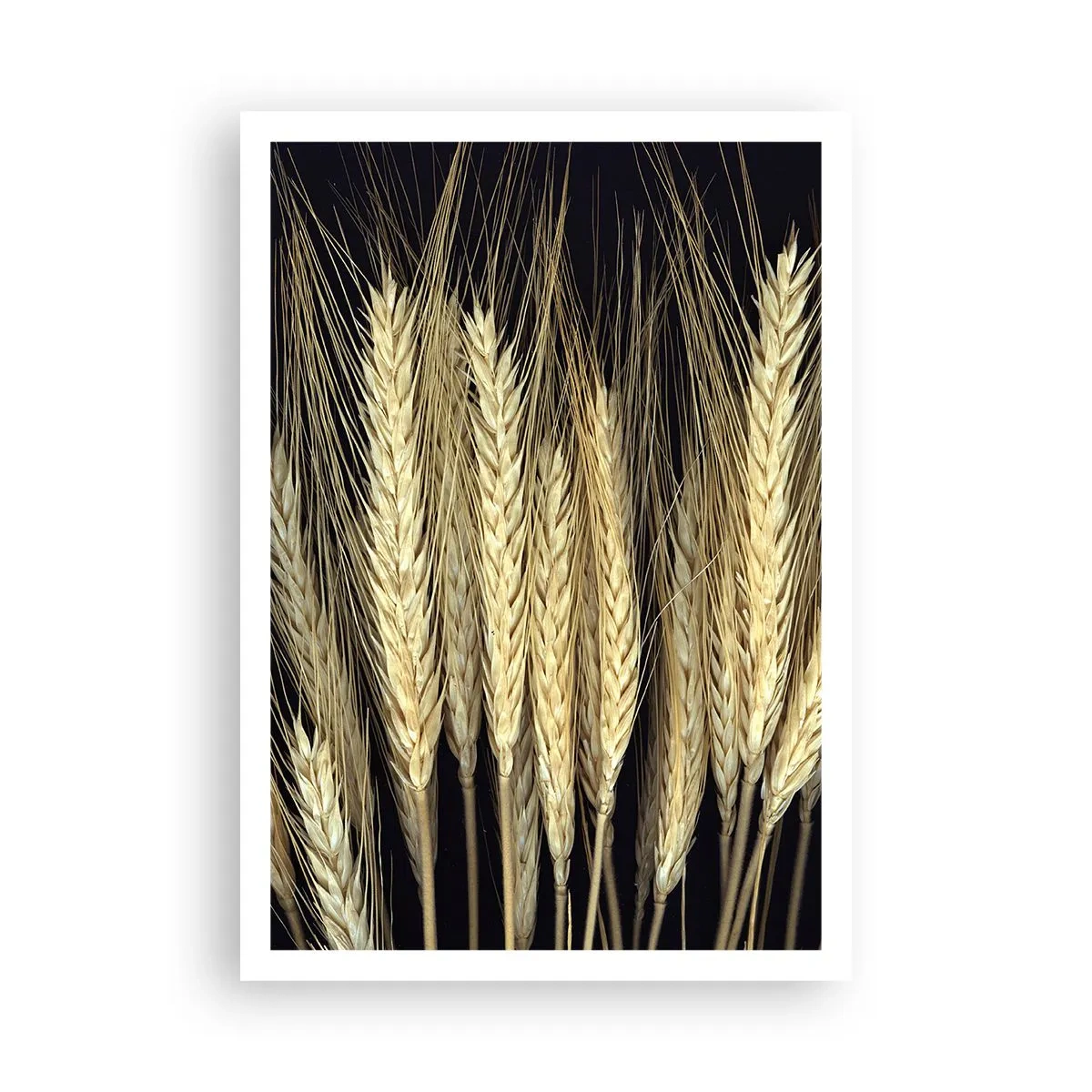 Plakat - Rustik magi - 70x100 cm