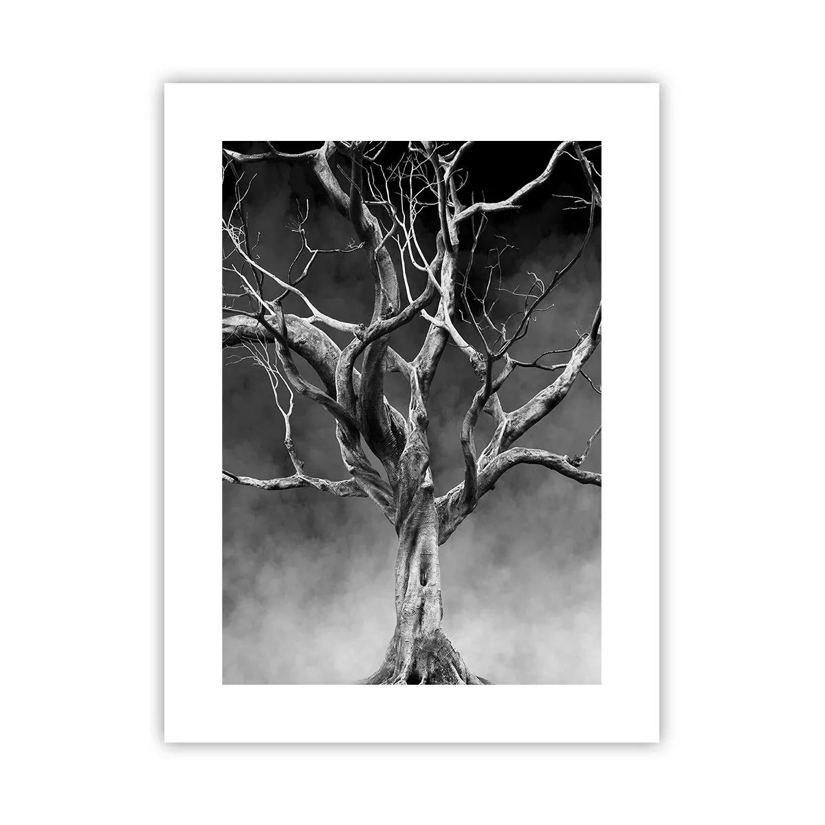 Plakat - Primær og hellig - 30x40 cm