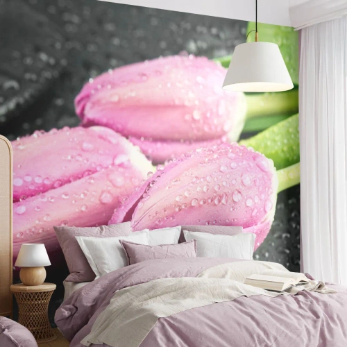 Fototapet Selvklæbende Deluxe Sticker - Lilla tre på sort sten - Blomster, Tulipaner, Buket blomster - 350x256 cm