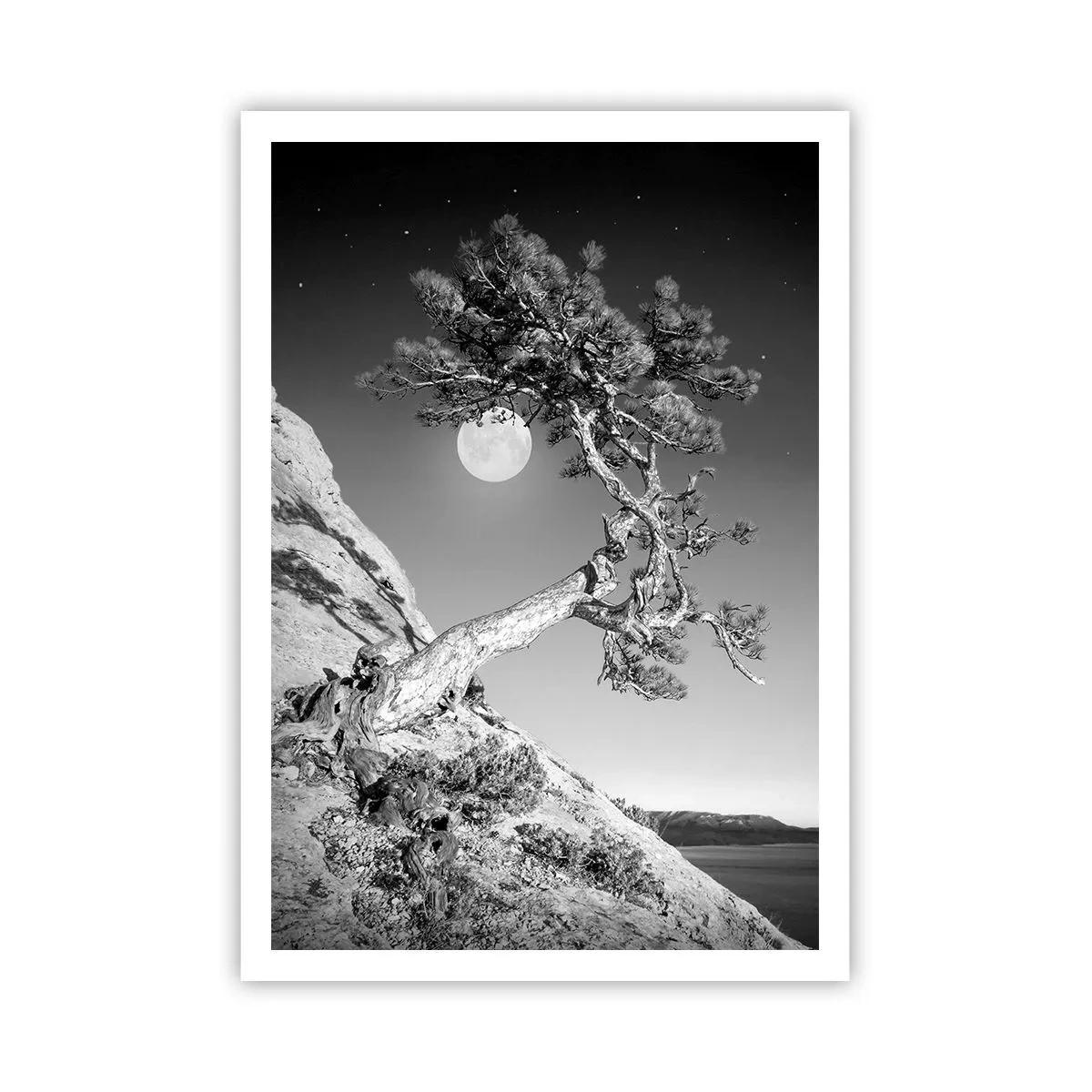 Plakat - Den sejrrige kriger - 70x100 cm