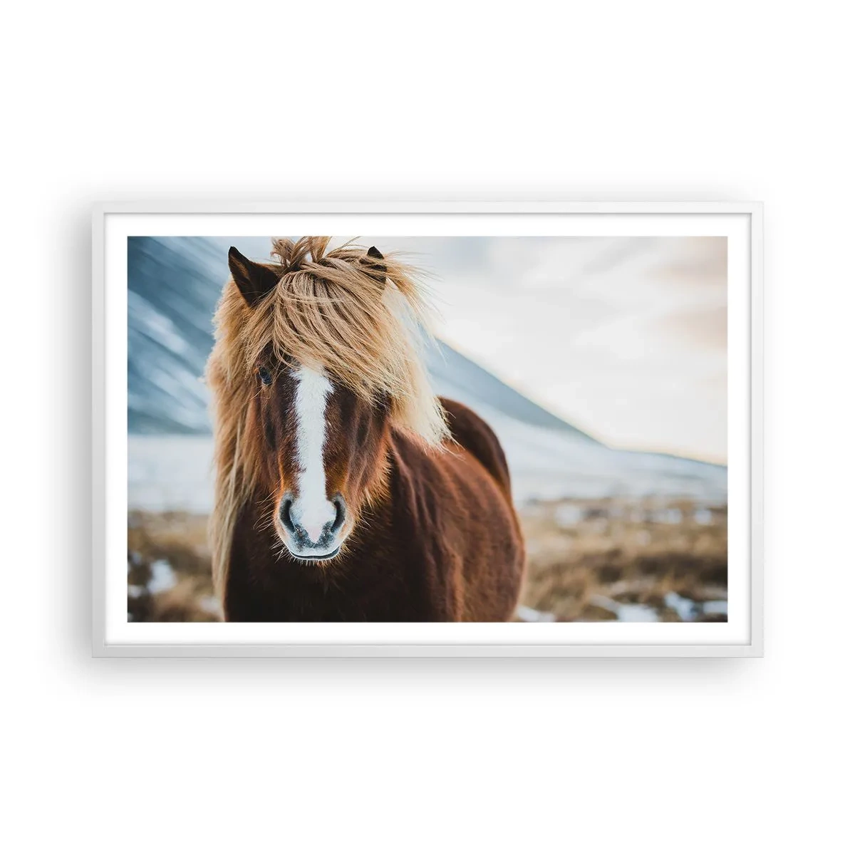 Plakat i hvid ramme - Kan du mærke friheden? - 91x61 cm