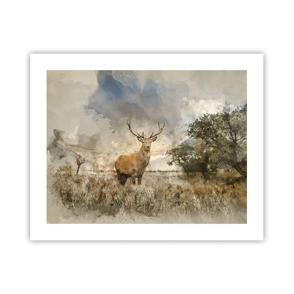 Plakat - Værdighed - styrke - værdighed - 50x40 cm