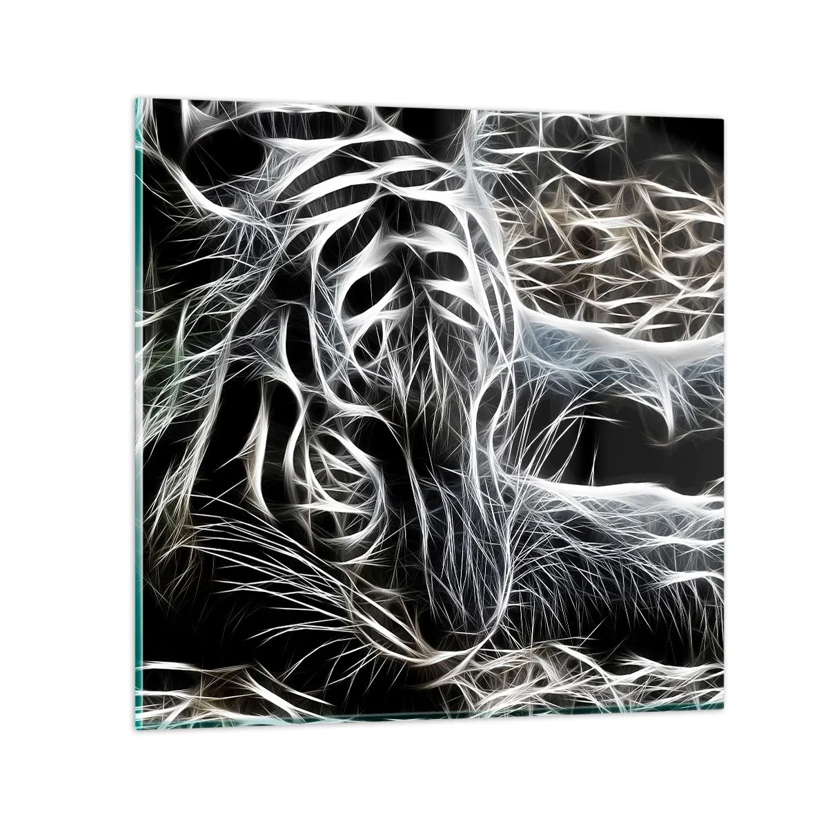 Billede på glas - En undersøgelse af kattens lethed - 40x40 cm