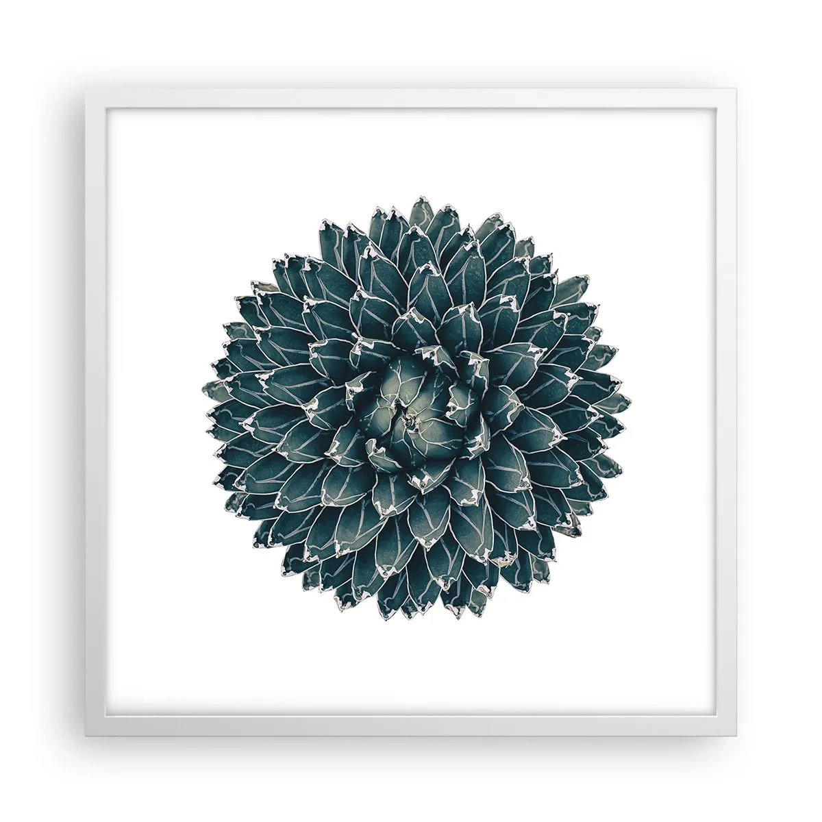 Plakat i hvid ramme - Ørkenstjerne - 50x50 cm