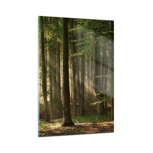 Billede på glas - Strålende på en forårsmorgen - 50x70 cm