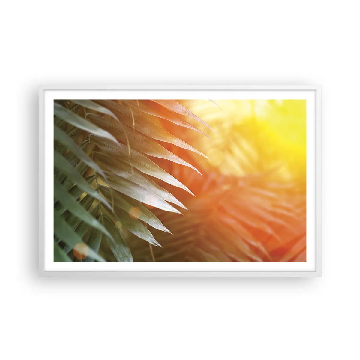 Plakat i hvid ramme - Morgen i junglen - 91x61 cm