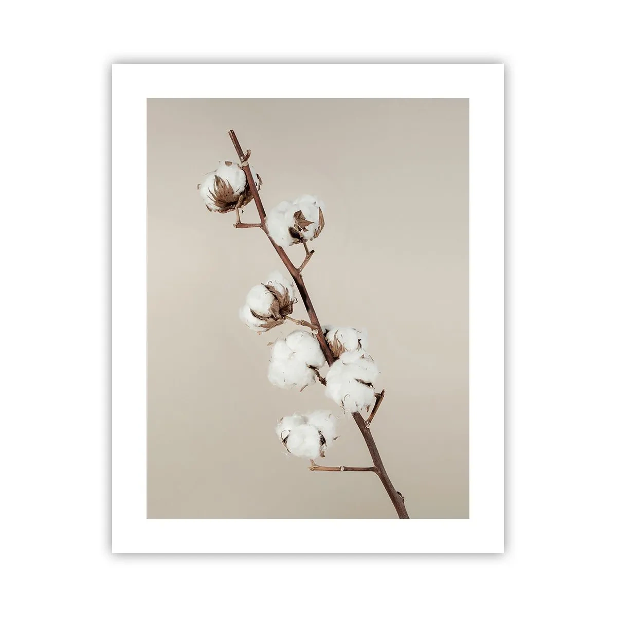 Plakat - Ved kilden til blødhed - 40x50 cm