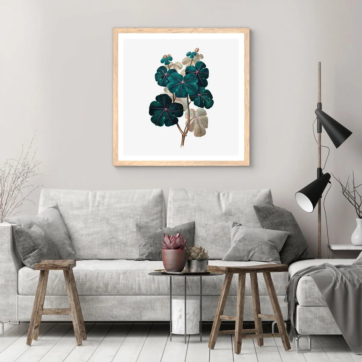 Plakat i ramme af lyst egetræ - Fra et gammelt herbarium - 30x30 cm