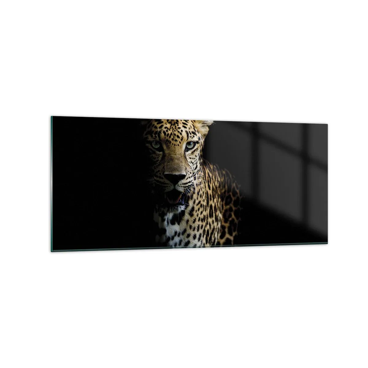 Billede på glas - Mørk skønhed - 120x50 cm