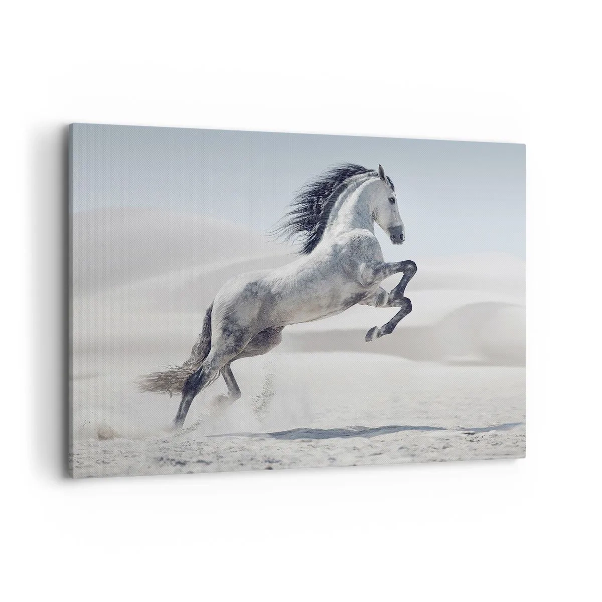 Lærredstryk - Billede på lærred - Arabisk prins - 120x80 cm