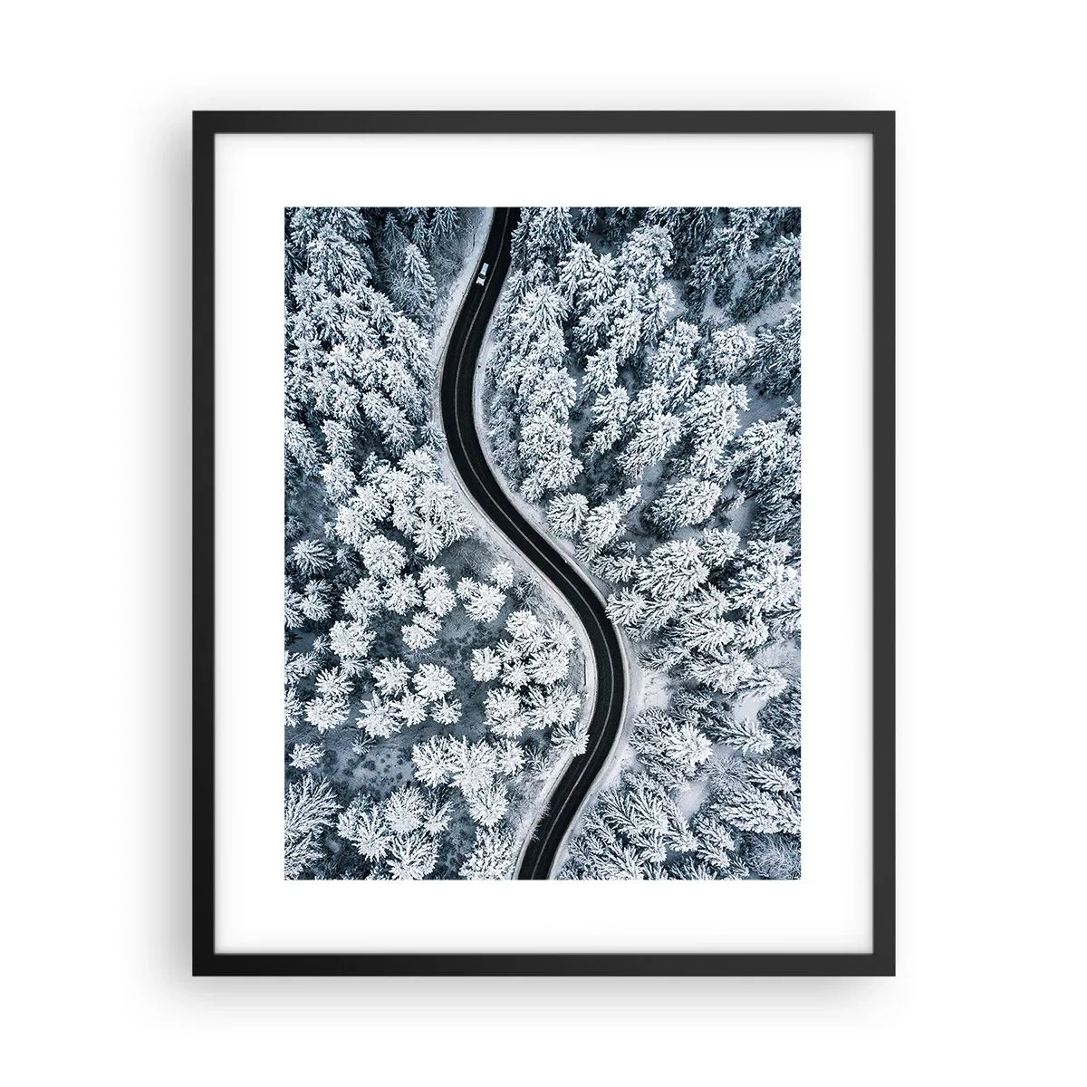 Plakat i sort ramme - Gennem en vinterskov - 40x50 cm
