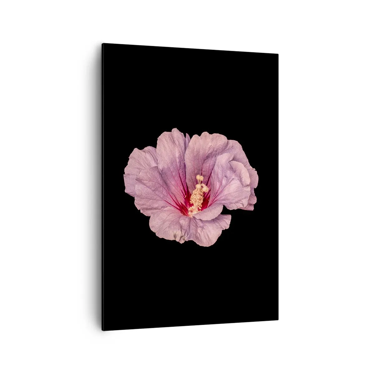 Lærredstryk - Billede på lærred - Lige i hjertet - 70x100 cm